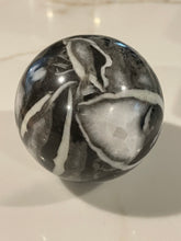 Load image into Gallery viewer, Fossil Oyster Spheres
